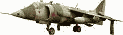 harrier.gif