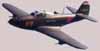 icon_P-39.jpg
