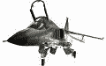 f-1_b.gif
